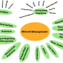 wirkraft-bildungsinsel.png